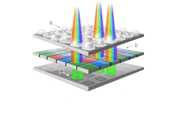 Bayer matrix of a color image.