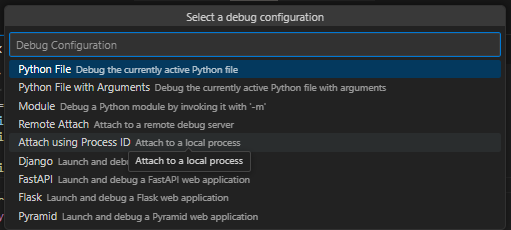 Python debug configuration