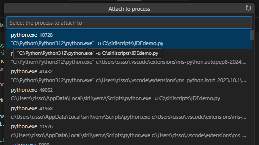 VSCode ProcessID selection