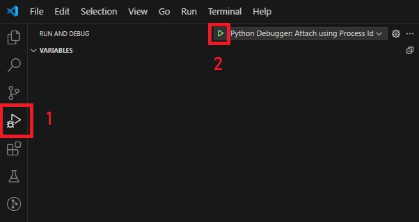 VSCode debug launch